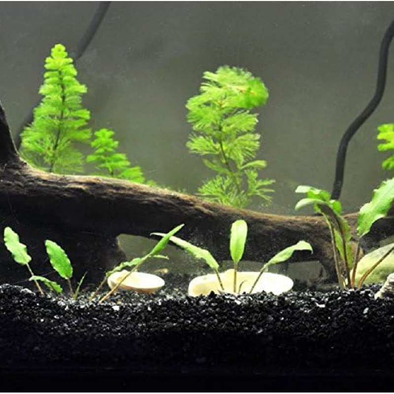 Aquasoil Substrate - 300g wspaniały dekoracja akwarium-akwarium czarny dół