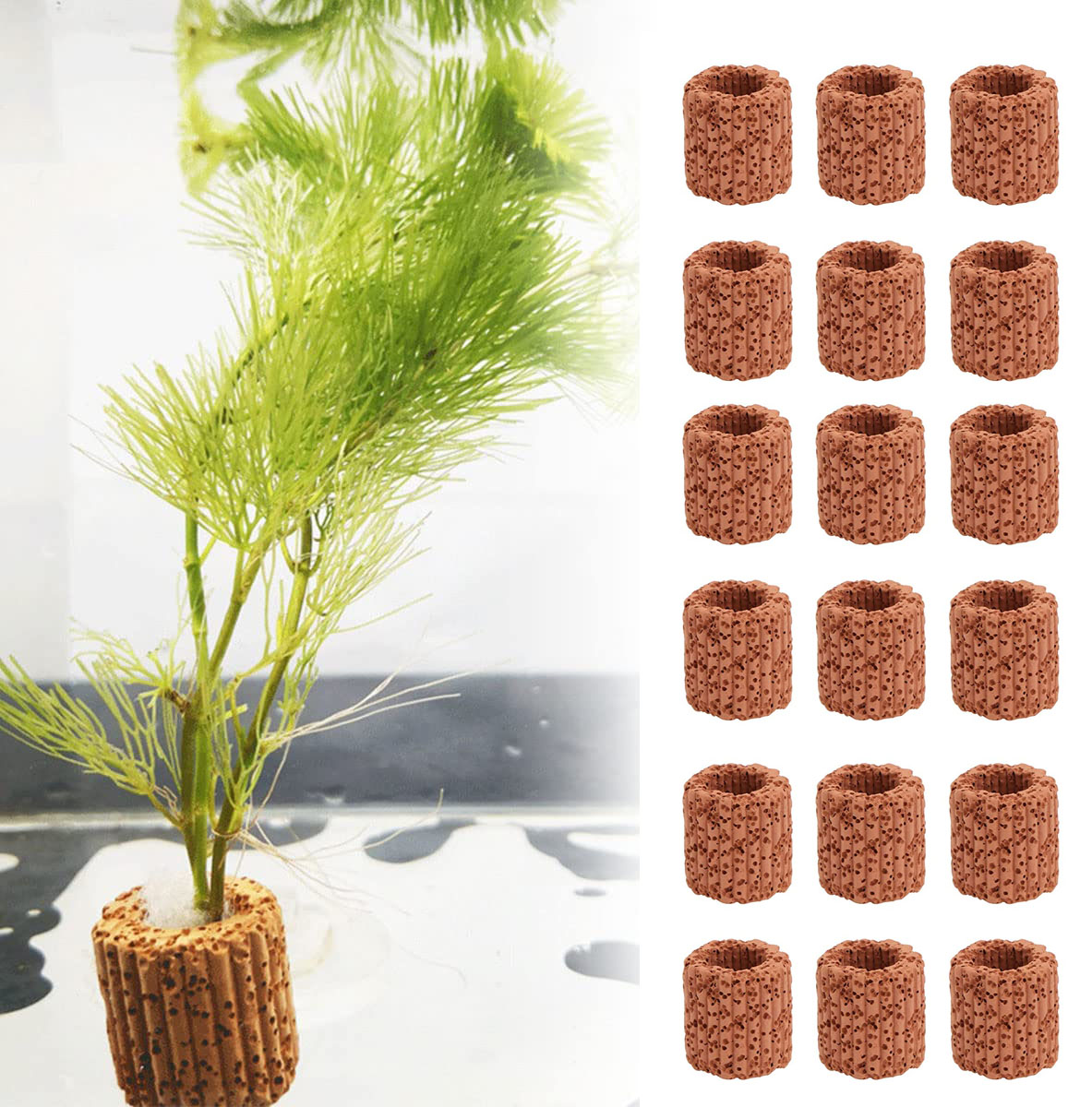 Aquarium Plant Growth - 10/20 szt. Podstawa zamontowany pierścień roślina