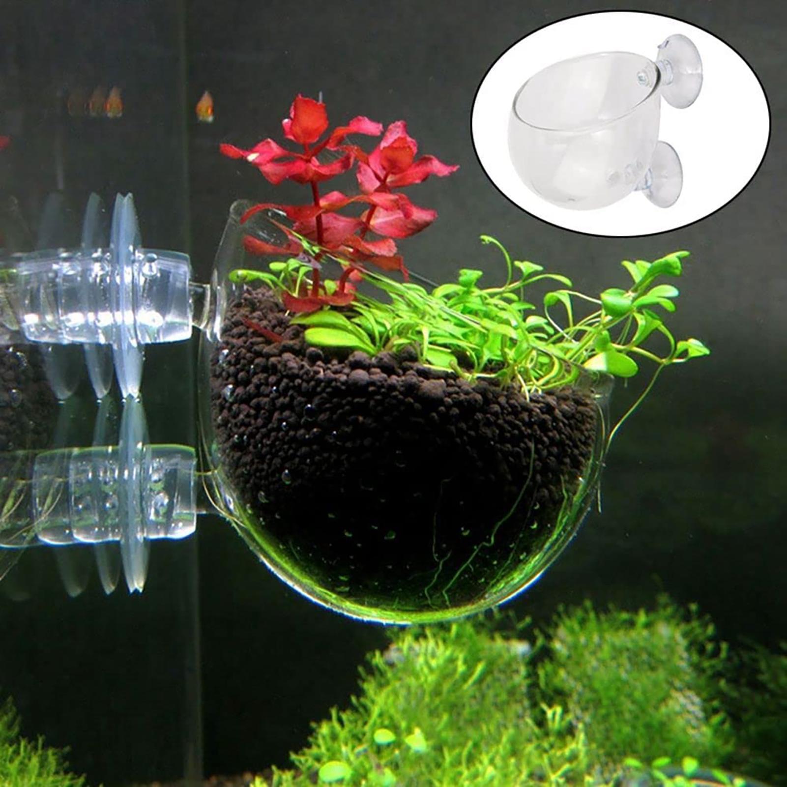 Aquarium Plant Growth - Akrylowa doniczka na rośliny wodne z