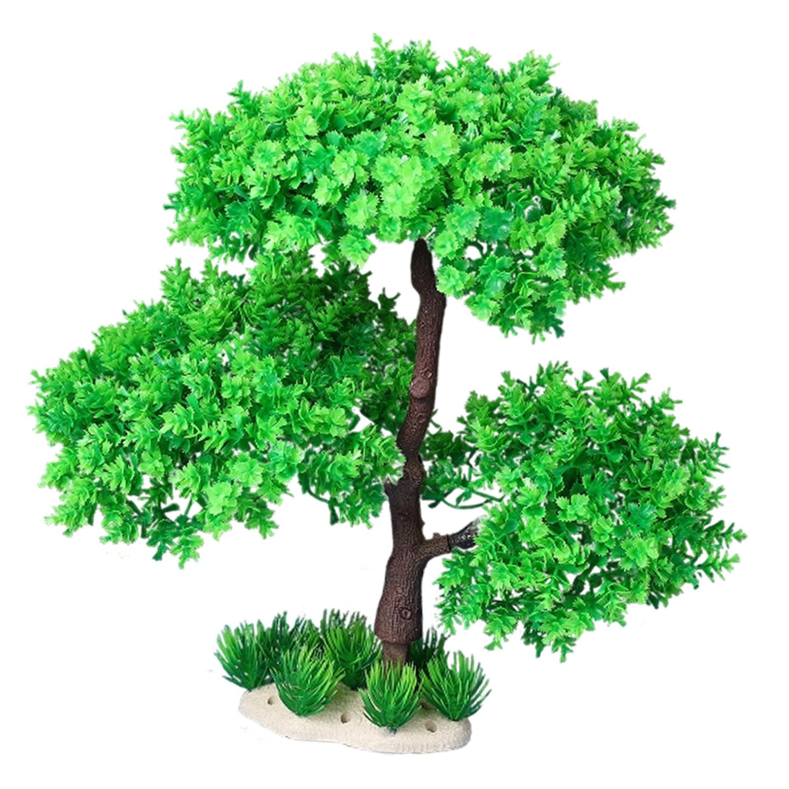 Planted Aquarium Models - Rośliny akwariowe do słodkowodnych akwariów, akcesoria