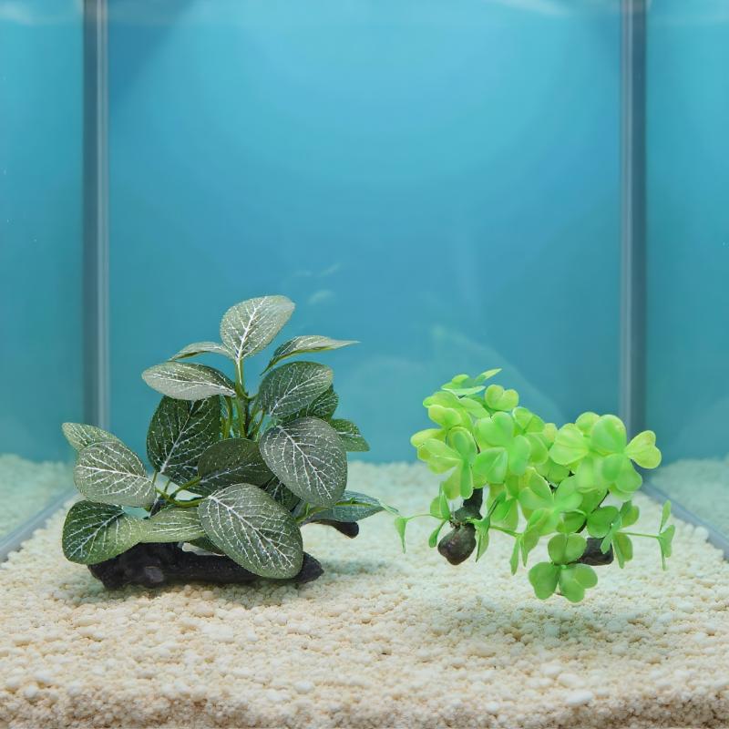 Sztuczne drzewo z drzewa spalo – Planted Aquarium With Driftwood recenzja i cena