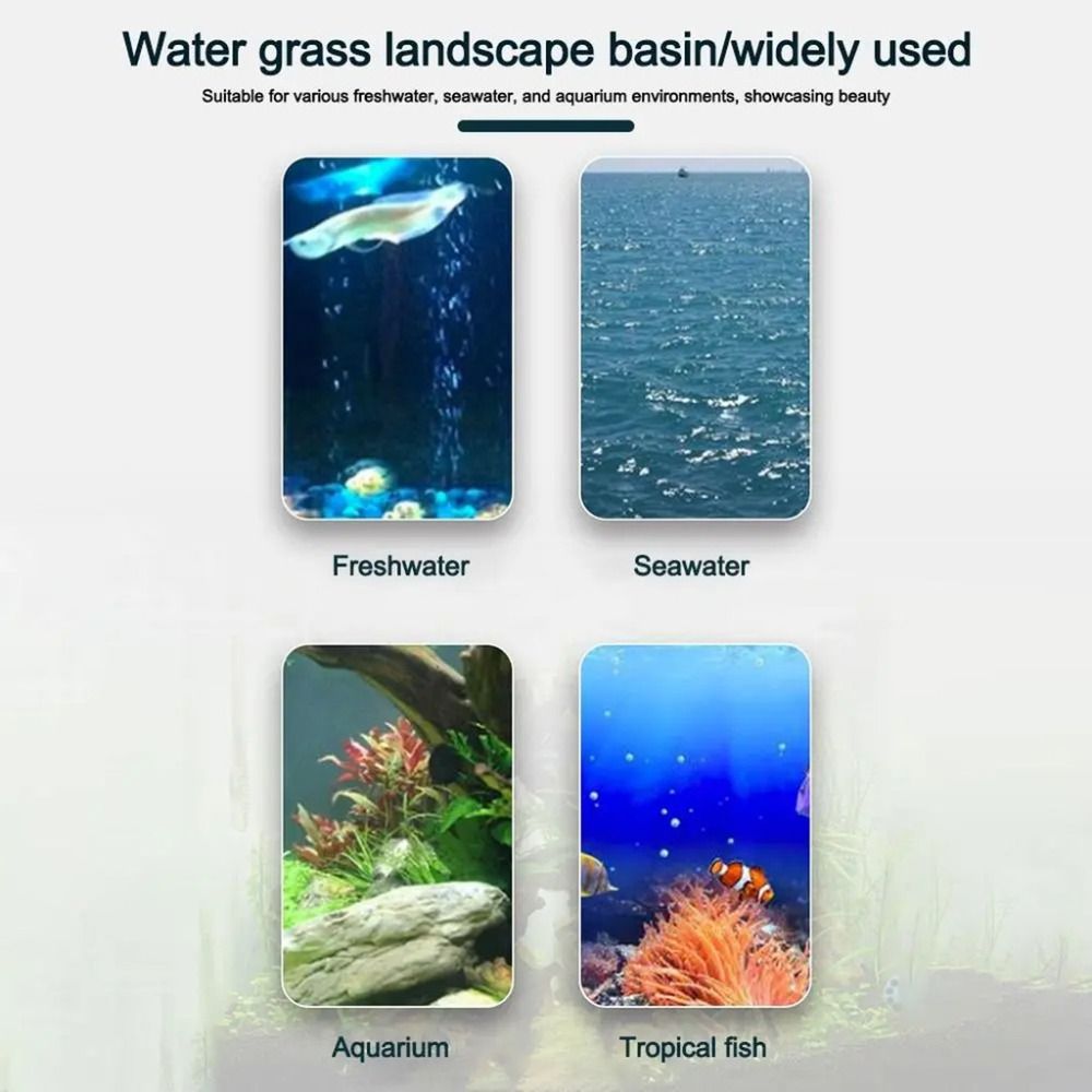 10 szt. Przezroczyste doniczki – Aquarium Plant Growth recenzja i cena