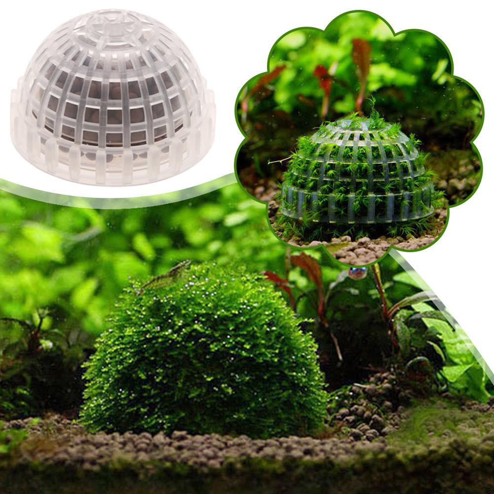 1 szt. Uchwyt na kulę z mchu d – Planted Aquarium Models recenzja i cena