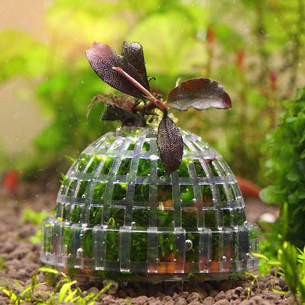 1 szt. Uchwyt na kulę z mchu d – Planted Aquarium Models recenzja i cena