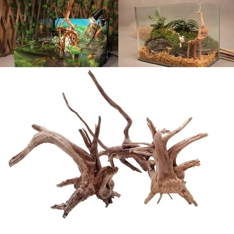 Naturalne drzewo pnia Driftwoo – Planted Aquarium With Driftwood recenzja i cena
