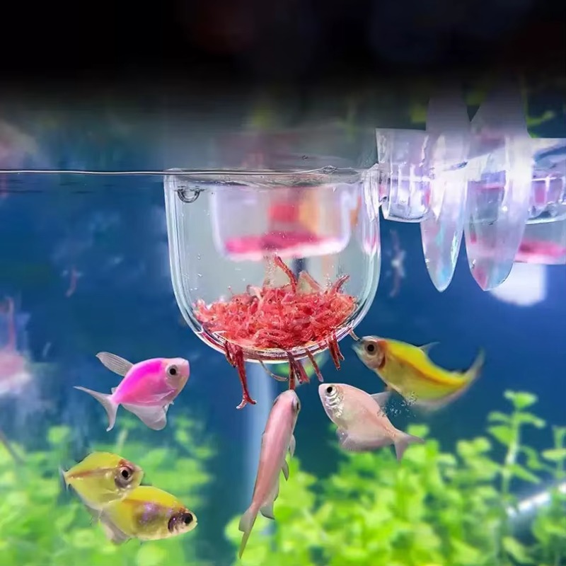 Dekoracja akwarium fabrycznego – Aquarium Plant Factory recenzja i cena