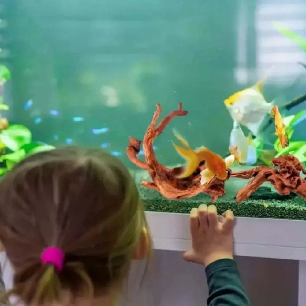 Nowy Naturalny Mały Drzewny Ko – Planted Aquarium With Driftwood recenzja i cena