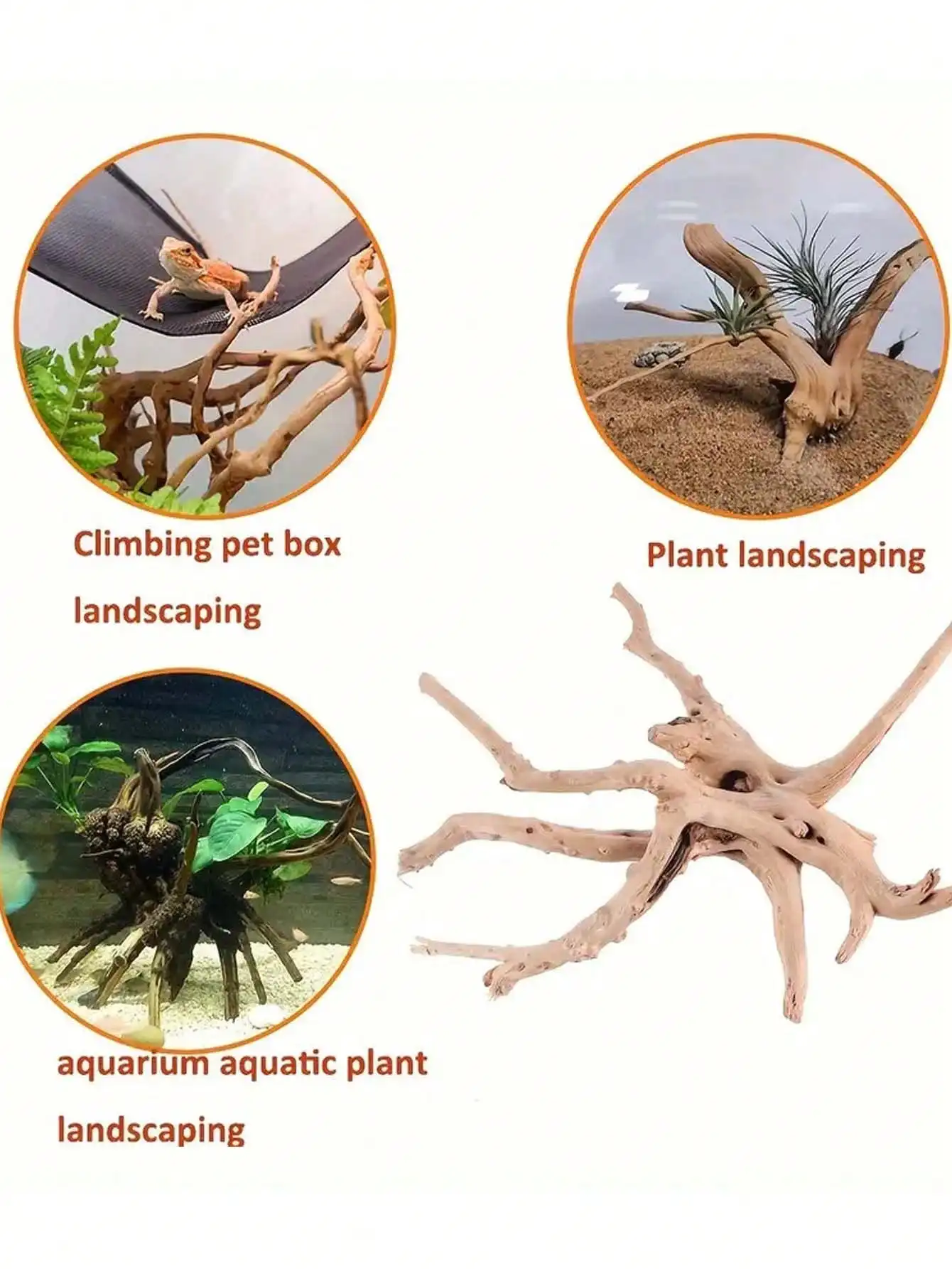 Nowy Naturalny Mały Drzewny Ko – Planted Aquarium With Driftwood recenzja i cena