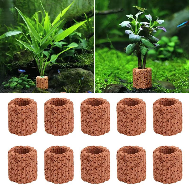 Stały pierścień do roślin wodn – Aquarium Plant Growth recenzja i cena