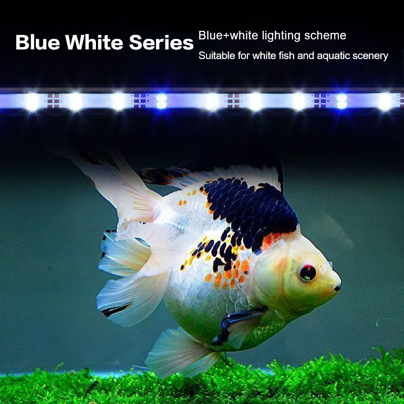 Lampa akwariowa LED z wtyczką  – Aquarium Plant Growth recenzja i cena