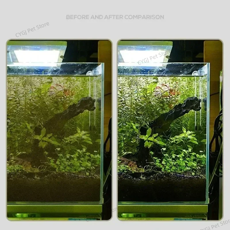 Narzędzie do czyszczenia akwar – Planted Aquarium Tool Kit recenzja i cena