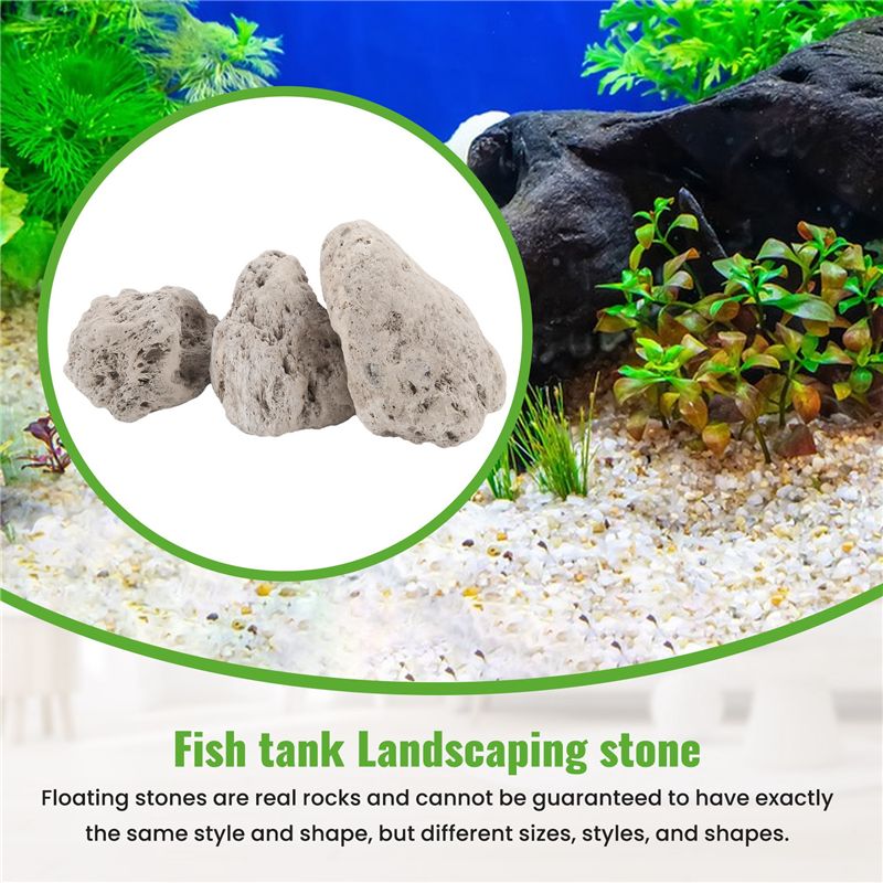 A20F-3 szt. Pływające prawdziw – Planted Aquarium Models recenzja i cena