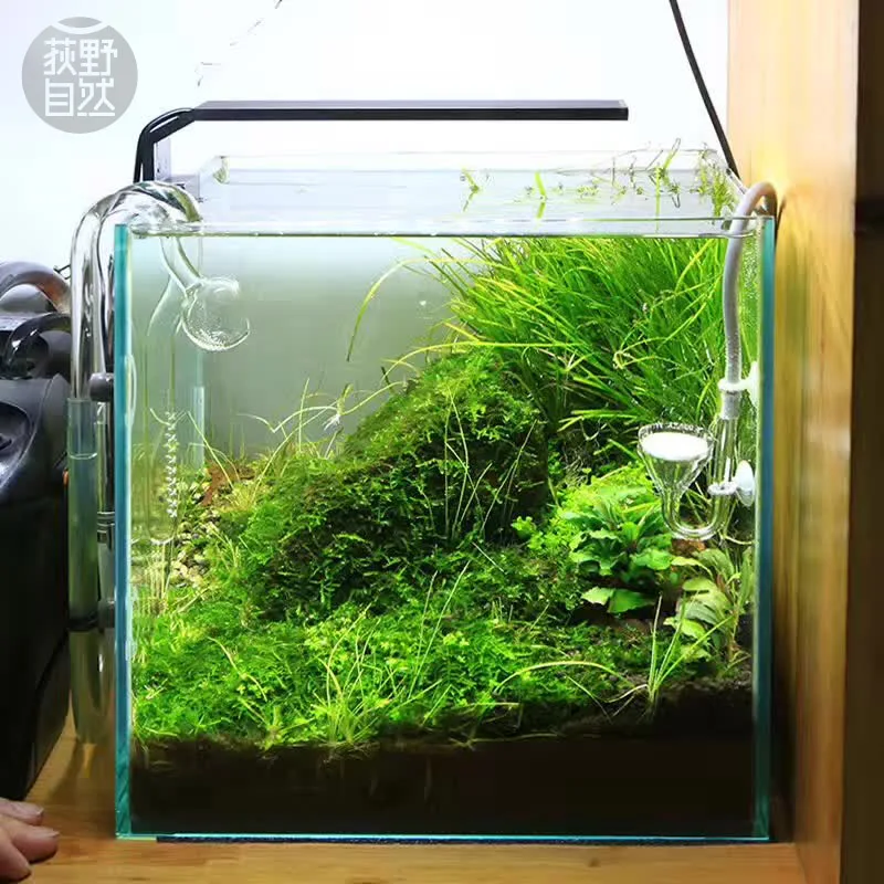 Chihiros C Series ADA Style Pl – Aquarium Plant Growth recenzja i cena