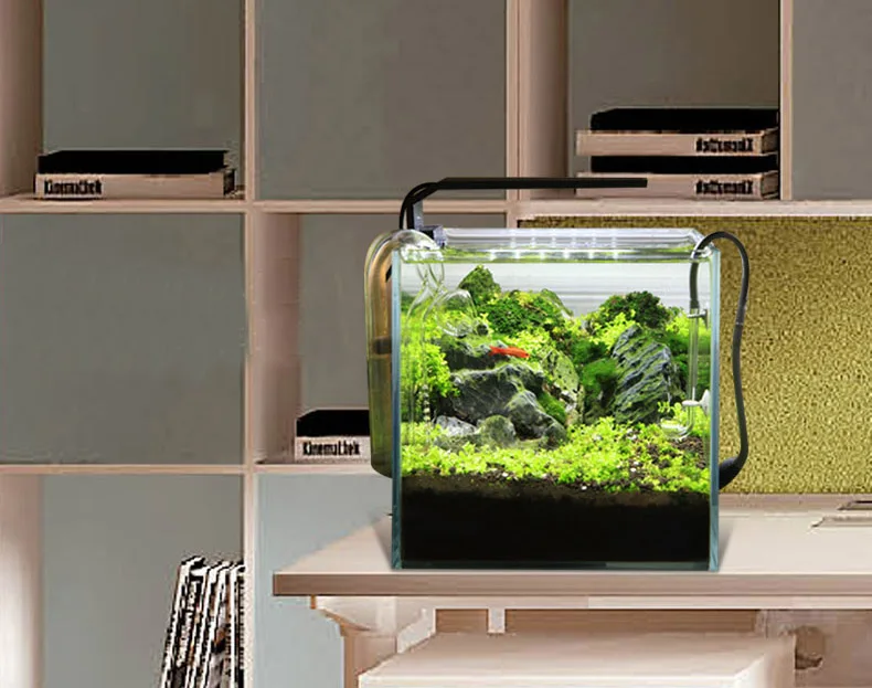 Chihiros C Series ADA Style Pl – Aquarium Plant Growth recenzja i cena