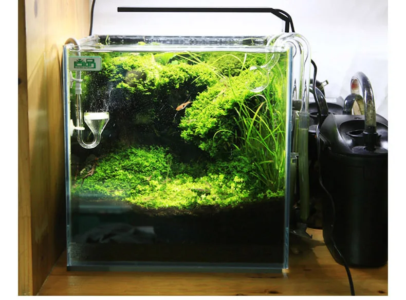 Chihiros C Series ADA Style Pl – Aquarium Plant Growth recenzja i cena
