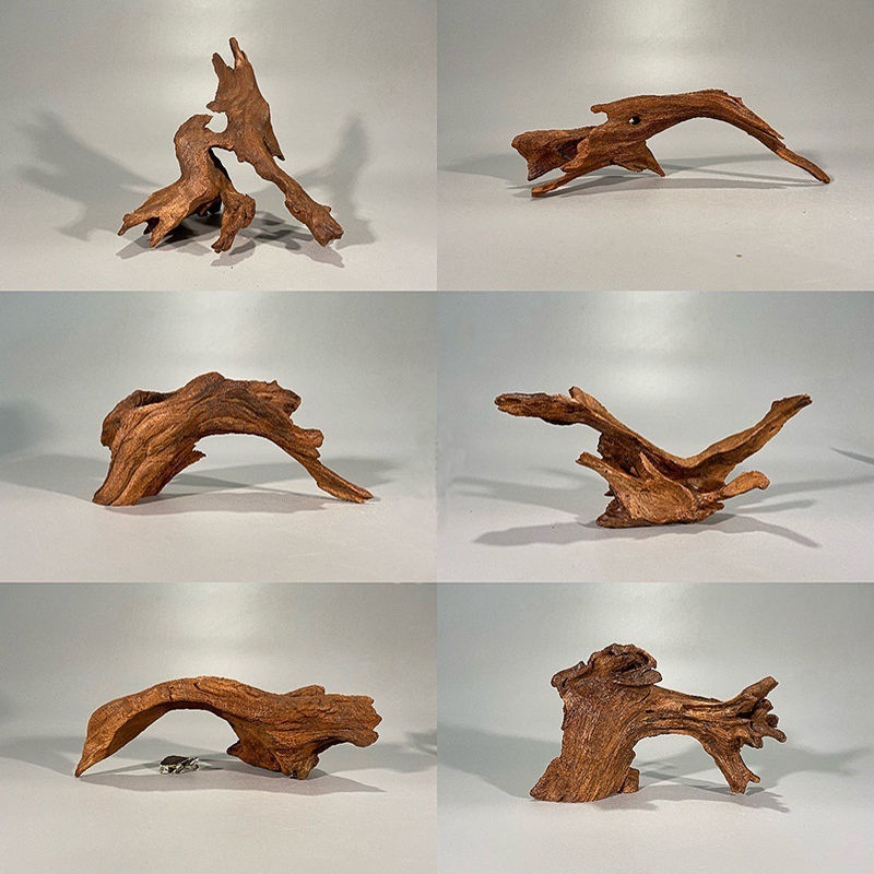 Naturalne drewno zlewozmywakow – Planted Aquarium With Driftwood recenzja i cena