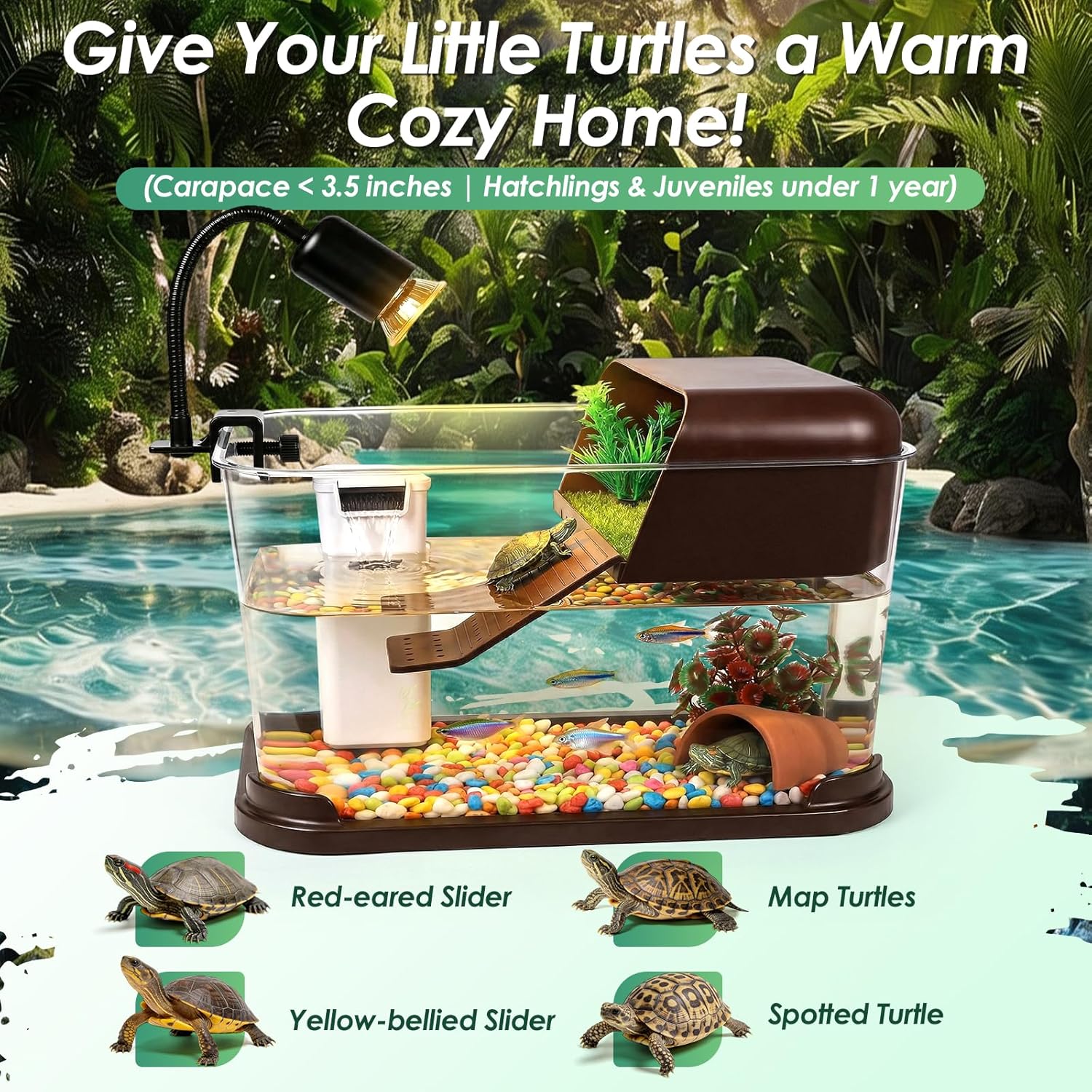 Zestaw startowy do akwarium dl – Planted Aquarium Starter Kit recenzja i cena