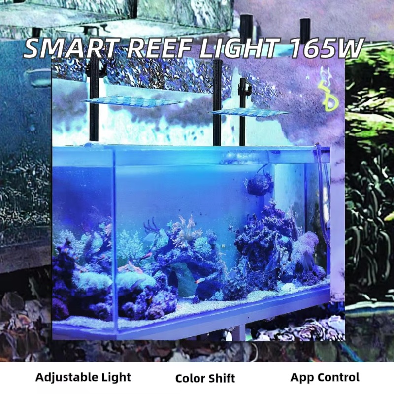 165W Ściemnialna Lampa LED do  – Planted Aquarium Models recenzja i cena