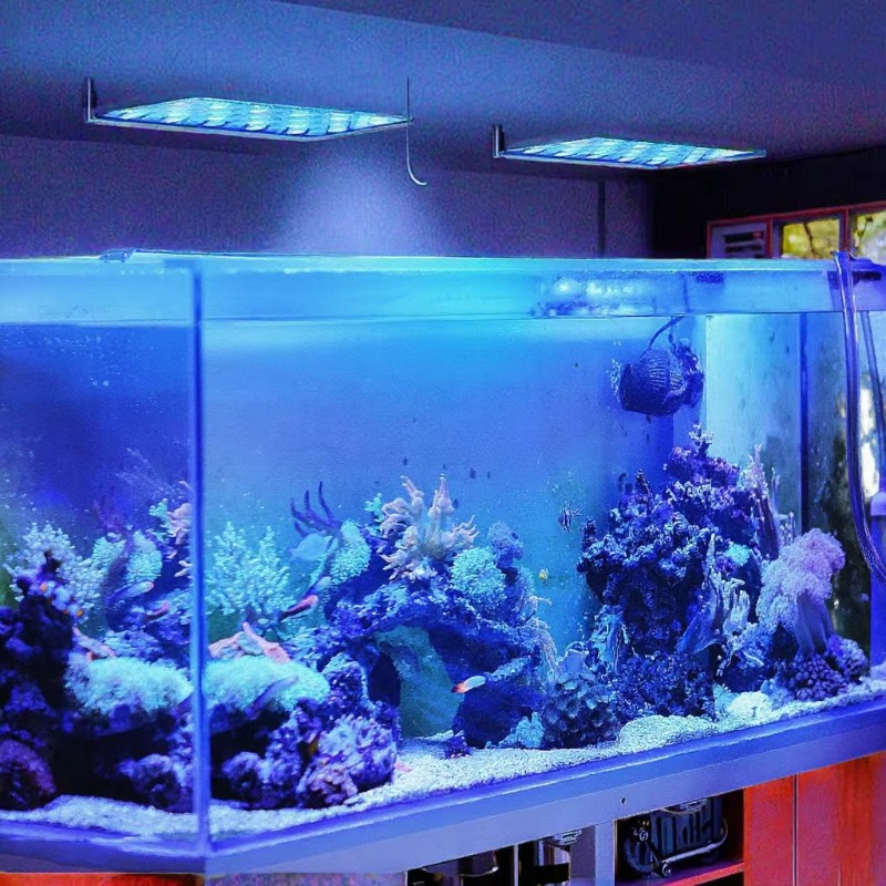 165W Ściemnialna Lampa LED do  – Planted Aquarium Models recenzja i cena