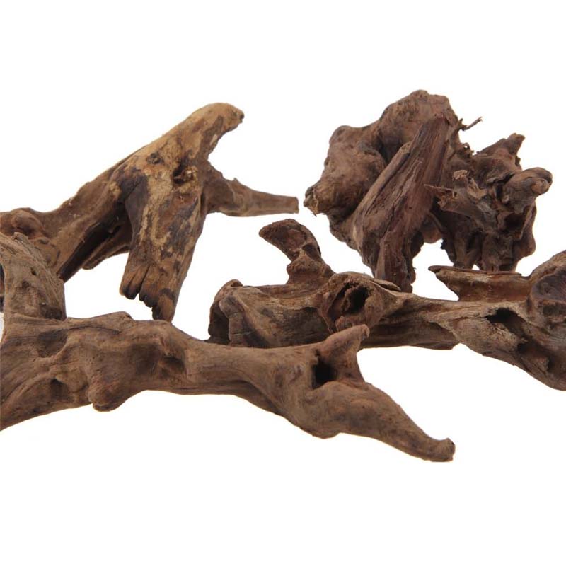 1PC Naturalne akwarium Tonący  – Planted Aquarium With Driftwood recenzja i cena