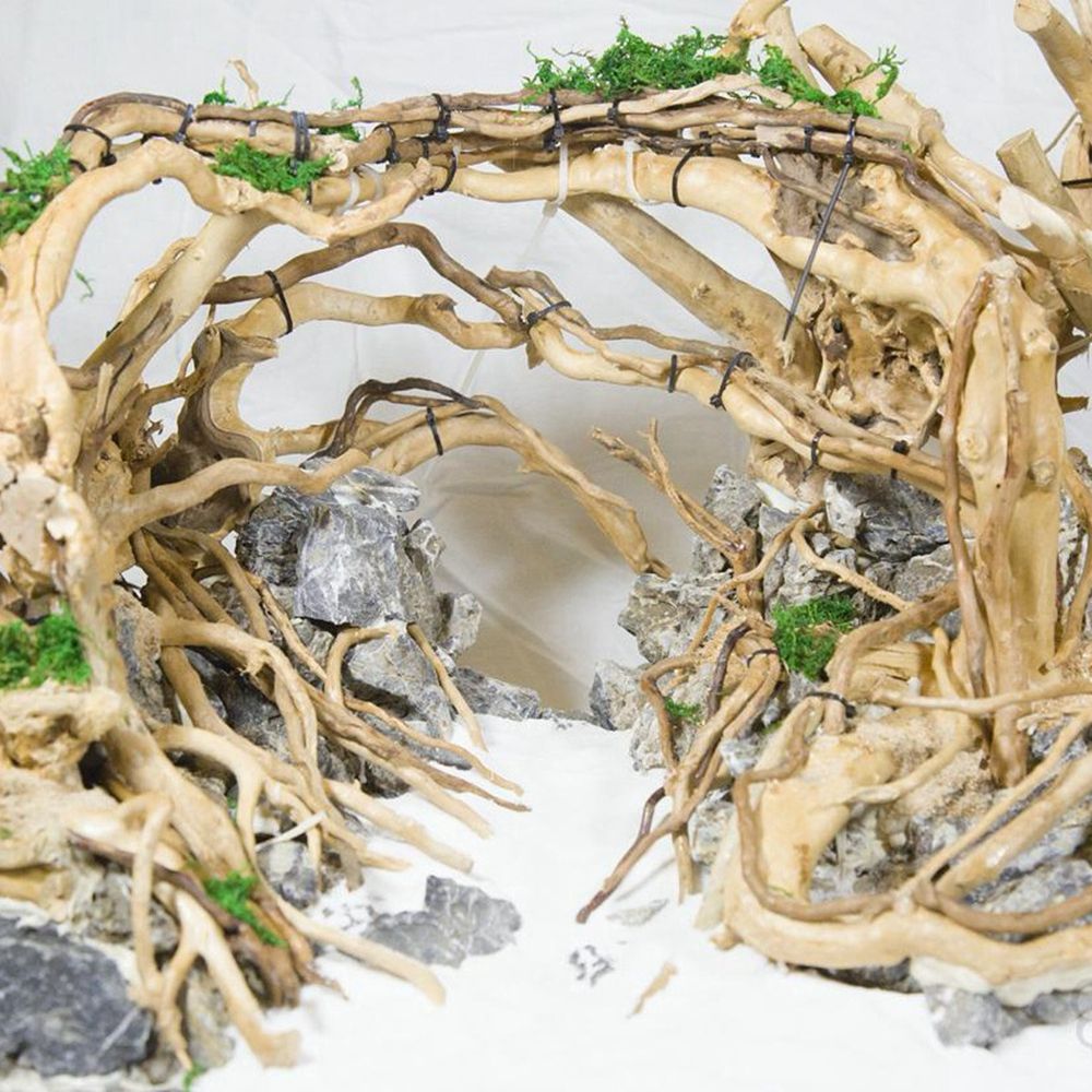Drewno N1N Dekoracja do akwari – Planted Aquarium With Driftwood recenzja i cena
