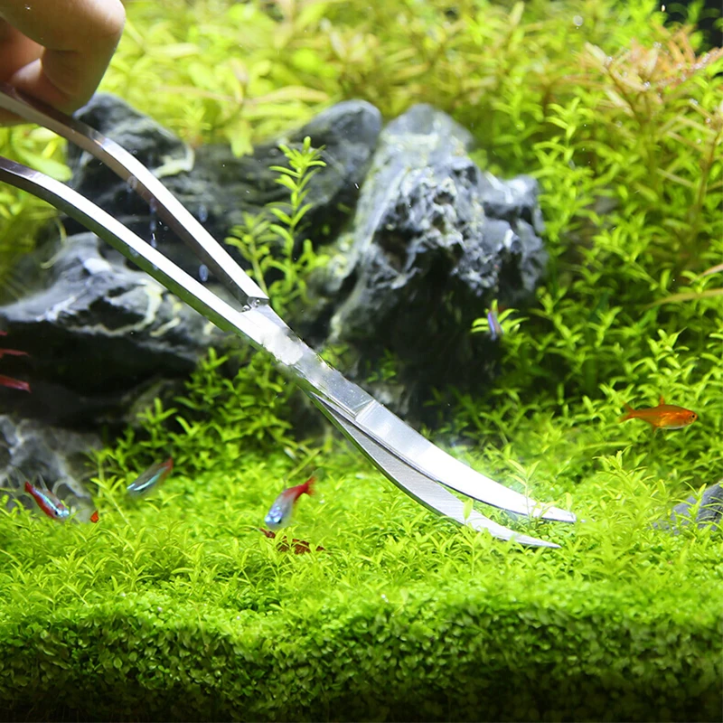 Nożyce do akwarium Pęseta do a – Planted Aquarium Tool Kit recenzja i cena