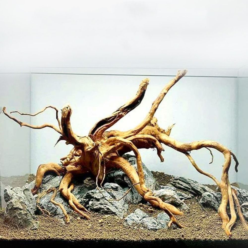 Drewno do akwarium 20-25 cm, n – Planted Aquarium With Driftwood recenzja i cena