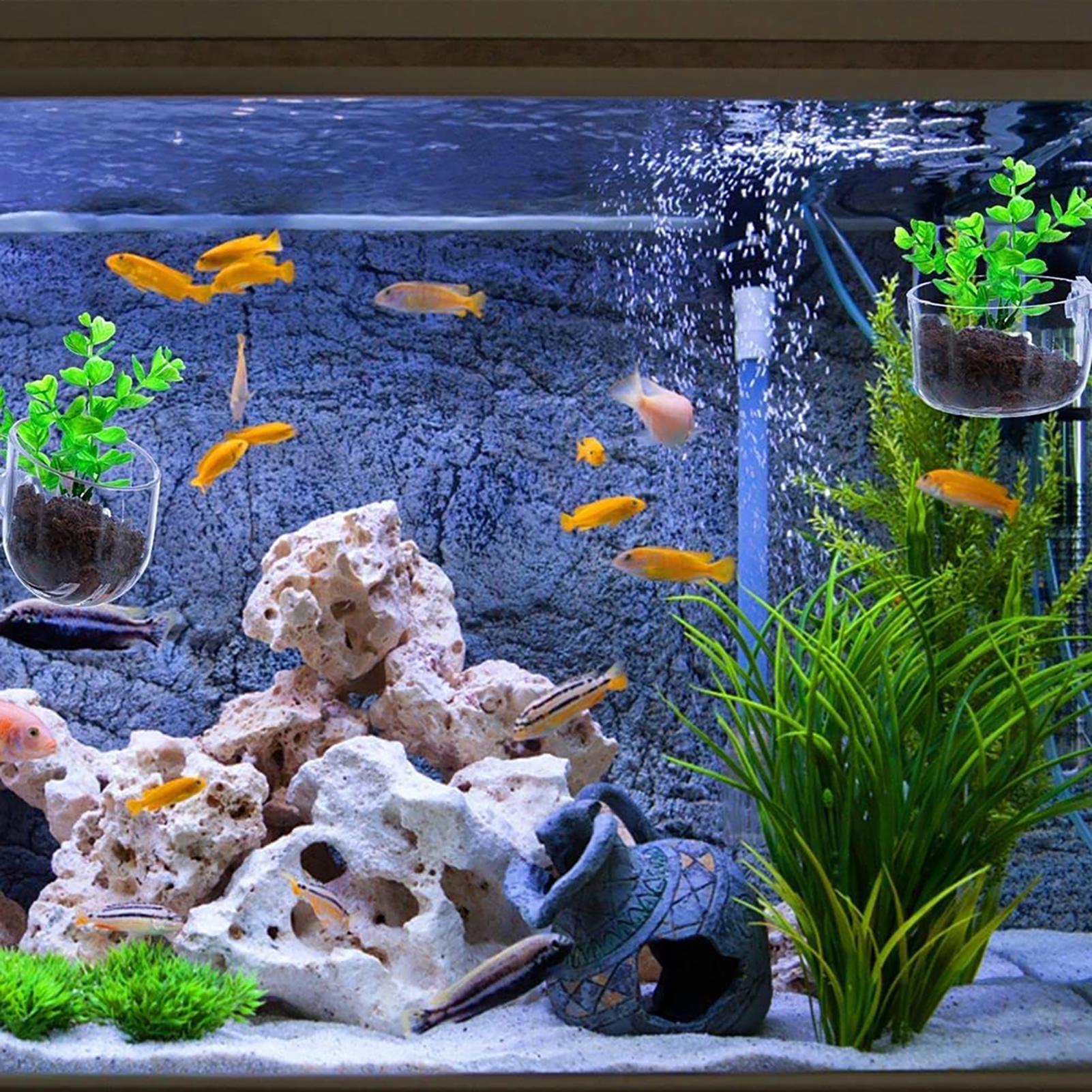 Akrylowa doniczka na rośliny w – Aquarium Plant Growth recenzja i cena
