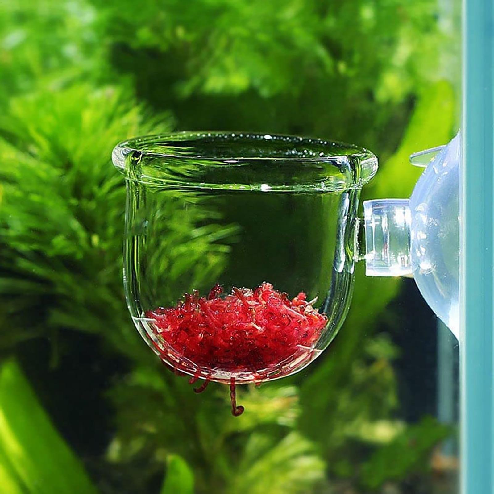 Akrylowa doniczka na rośliny w – Aquarium Plant Growth recenzja i cena