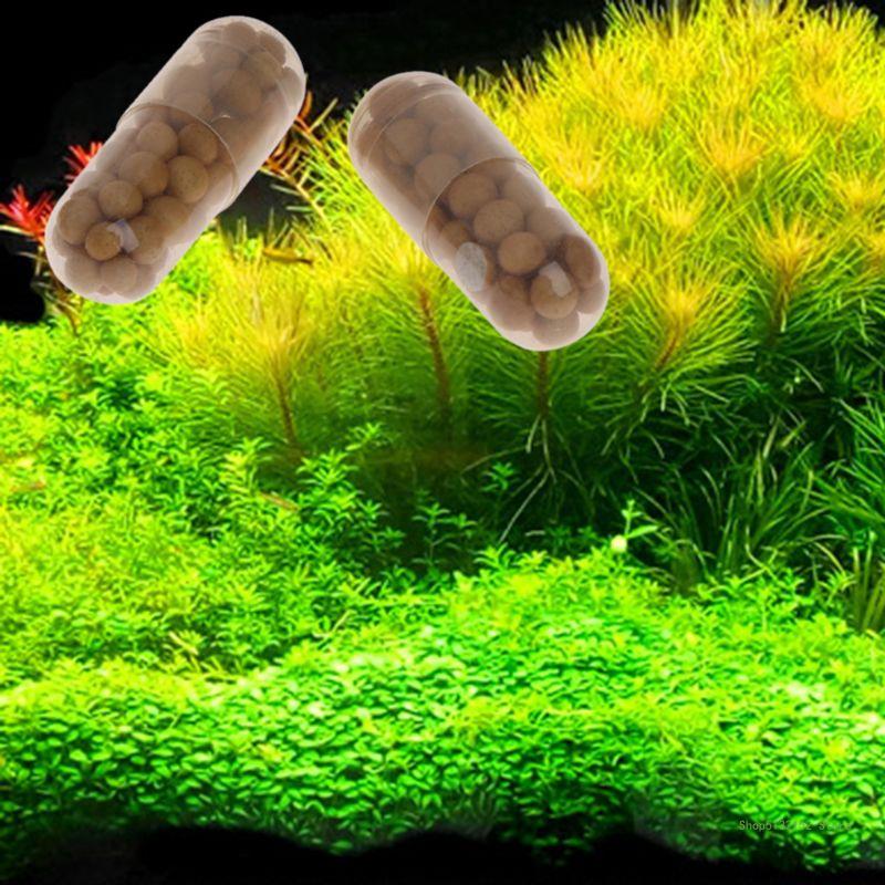 QX2E Akwarium Nawóz na żywe ro – Aquasoil Substrate recenzja i cena
