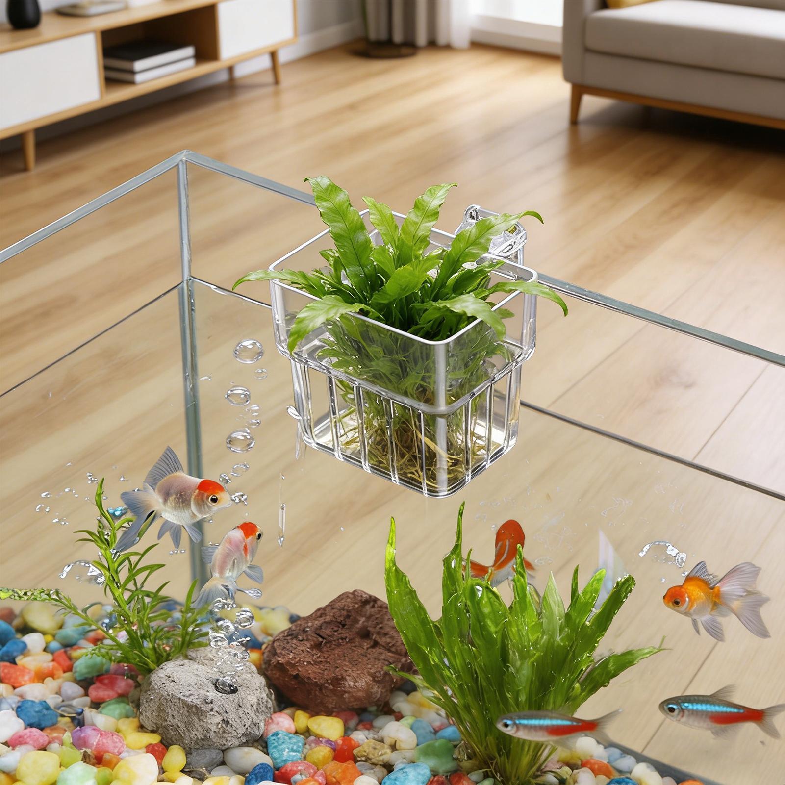 Przezroczysty wiszący kwietnik – Aquarium Plant Growth recenzja i cena