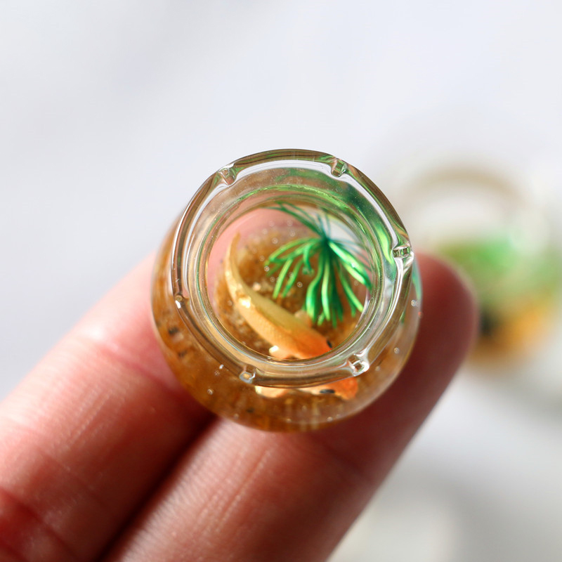 1Pc 1:12 Mini domek dla lalek  – Planted Aquarium Models recenzja i cena