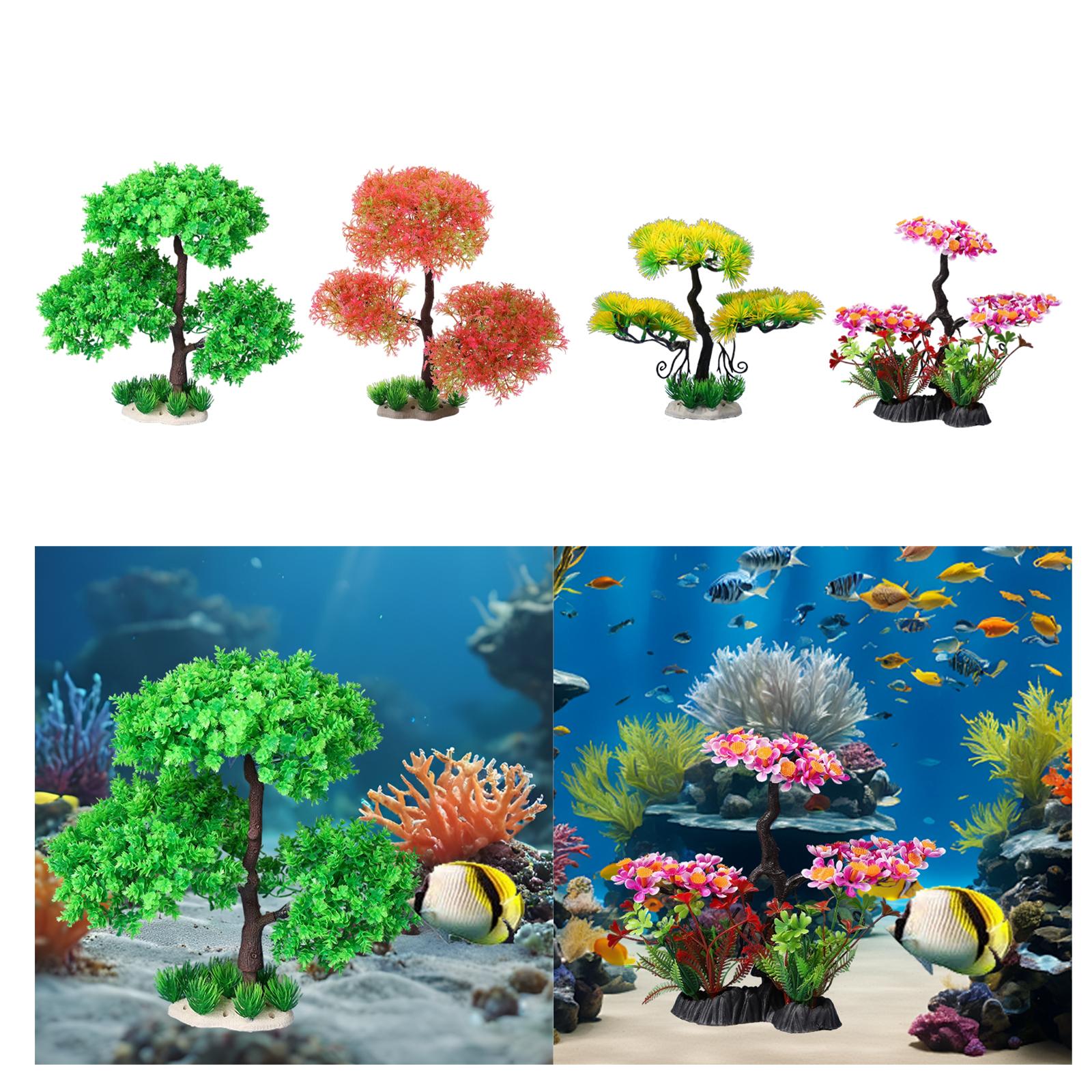 Rośliny akwariowe do słodkowod – Planted Aquarium Models recenzja i cena