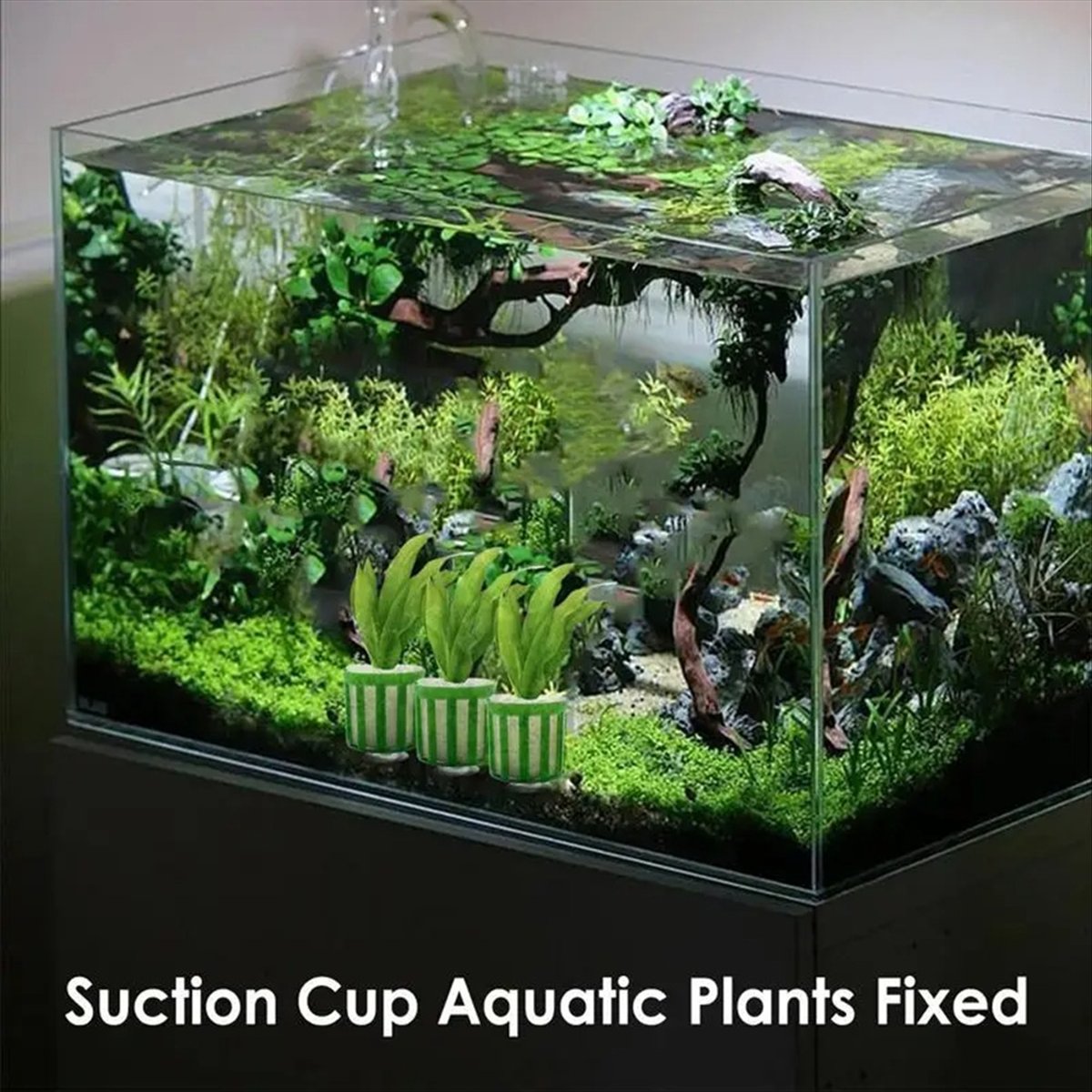 ABNQ Uchwyt do mocowania rośli – Planted Aquarium Tool Kit recenzja i cena
