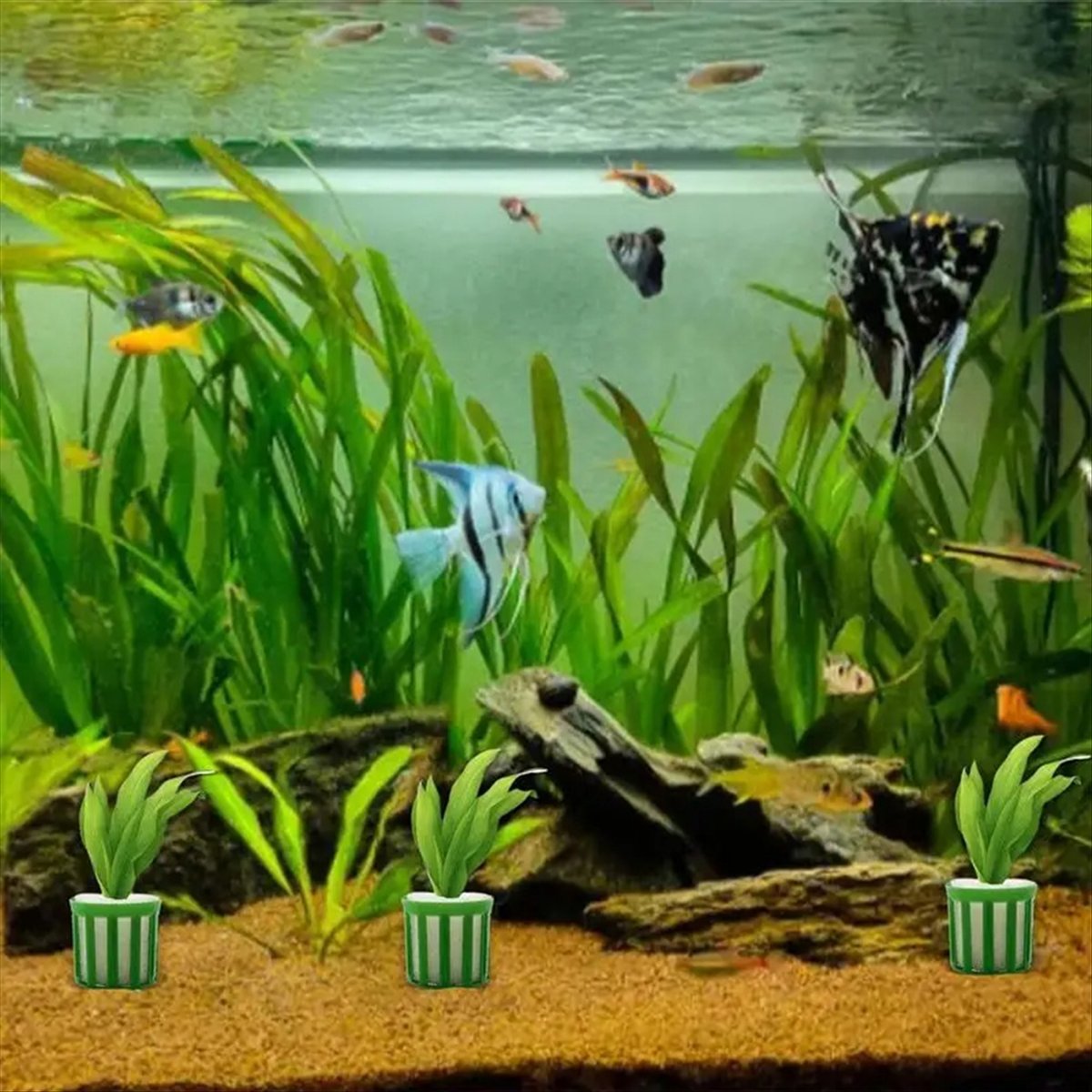 ABNQ Uchwyt do mocowania rośli – Planted Aquarium Tool Kit recenzja i cena