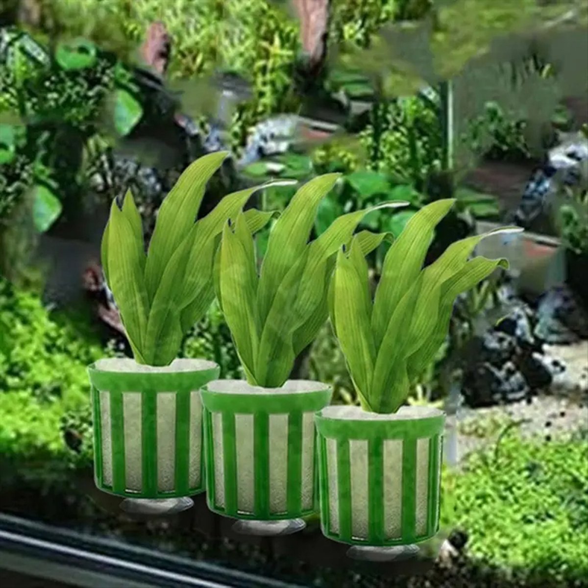 ABNQ Uchwyt do mocowania rośli – Planted Aquarium Tool Kit recenzja i cena