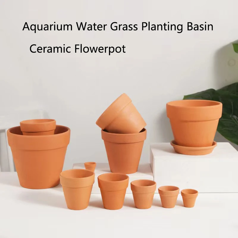 Czerwone błoto Dekoracja akwar – Aquarium Plant Growth recenzja i cena