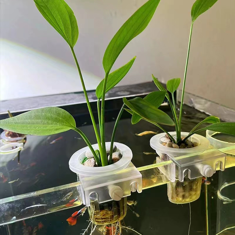 Kosz do sadzenia akwarium Hydr – Aquarium Plant Growth recenzja i cena