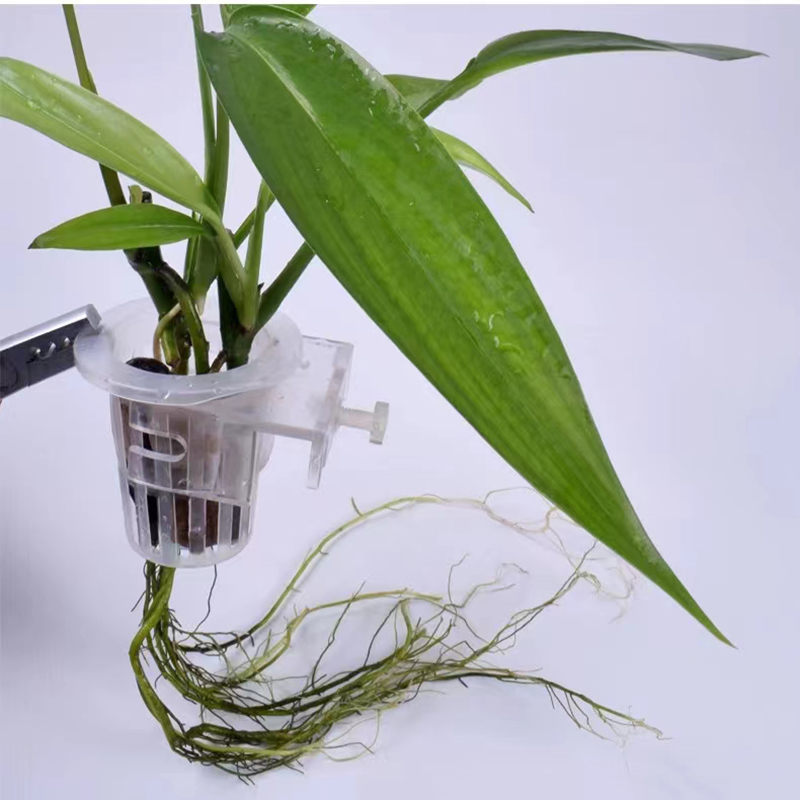 Kosz do sadzenia akwarium Hydr – Aquarium Plant Growth recenzja i cena