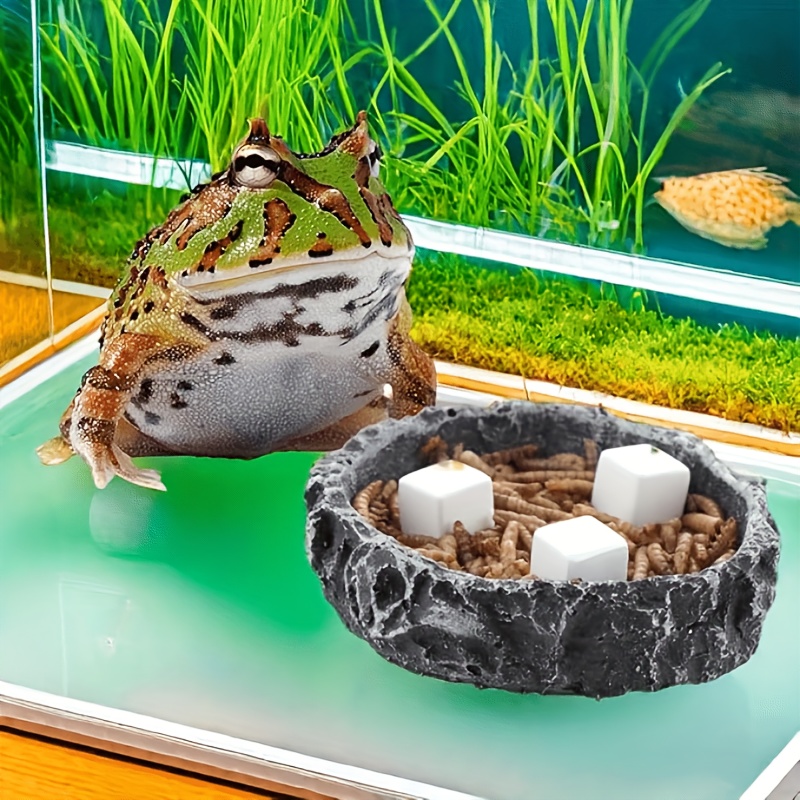 6 szt. Bloków wapnia do akwari – Aquarium Plant Growth recenzja i cena